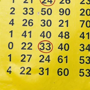 numeros_sorteados-1-300x300 Finanças & Negócios