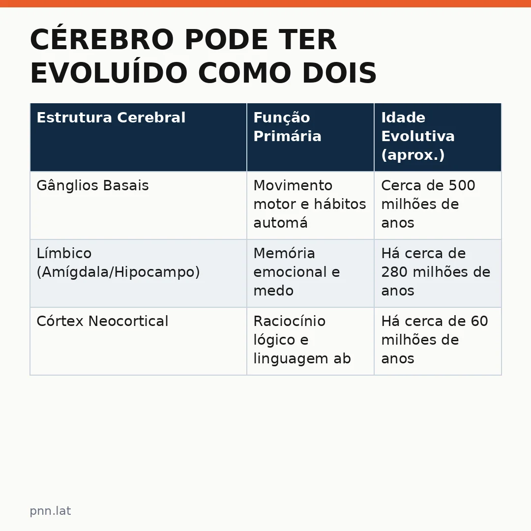jotha-jotha-08d77a08-infographic-pil-1 Cérebro pode ter evoluído como dois órgãos diferentes, sugere novo estudo de neurociência