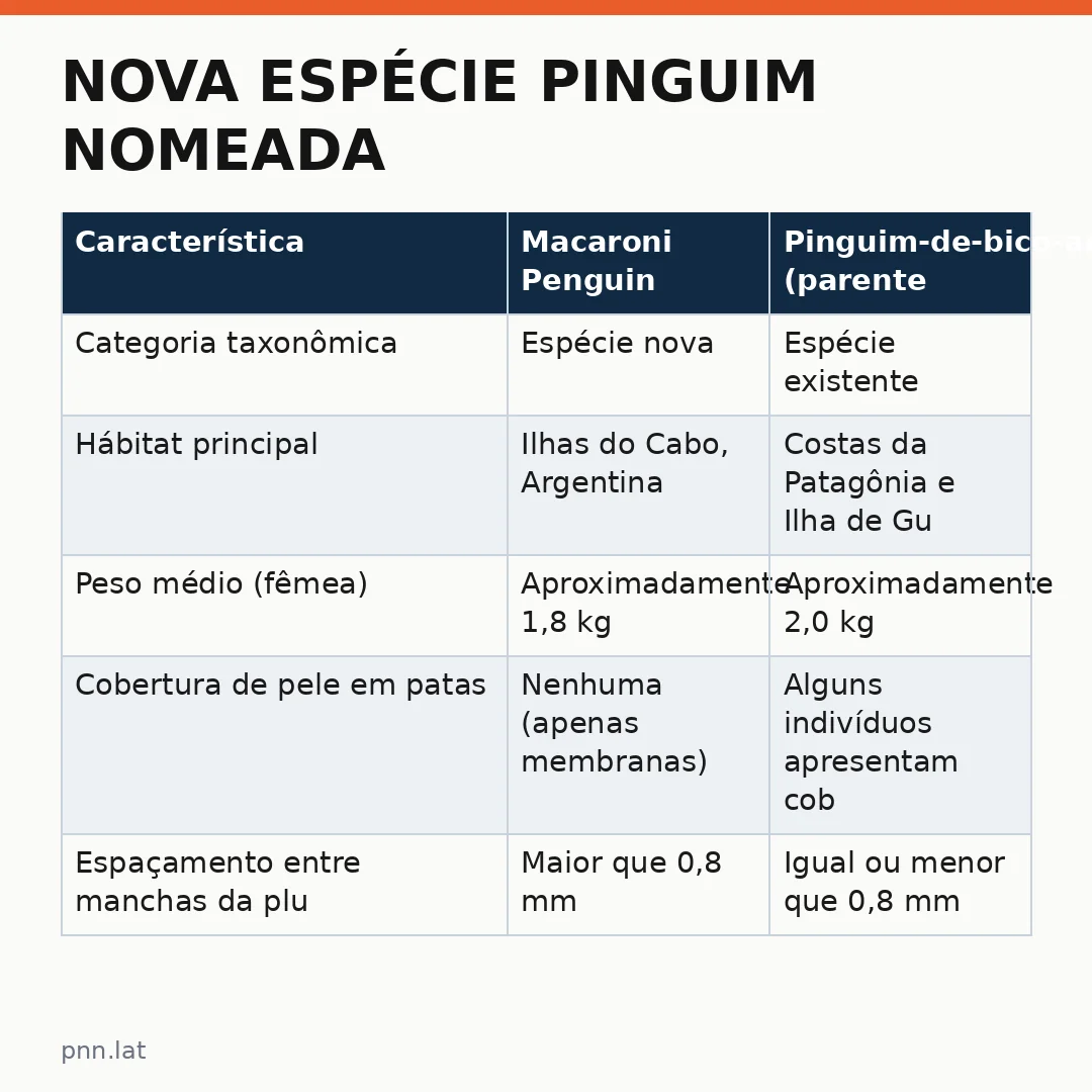 jotha-jotha-093b59ac-infographic-pil-1 Nova espécie pinguim nomeada: cientistas revelam descoberta centenária nas Ilhas do Cabo