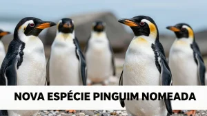 Nova espcie pinguim nomeada cientistas revelam descoberta centenria nas Ilhas do