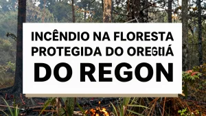 Incndio na Floresta Protegida do Oregon O Que Est Por Trs de um Incndio que Ques