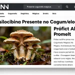PNN – Psilocibina Presente nos Cogumelos Mágicos Promete Alívio da Dor no Câncer