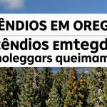 Incêndios em Oregon: Florestas protegidas em Oregon queimam e o mundo observa