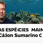 Novas Espécies Marinhas Descobertas no Cânion Submarino: O Futuro da Pesquisa na Argentina
