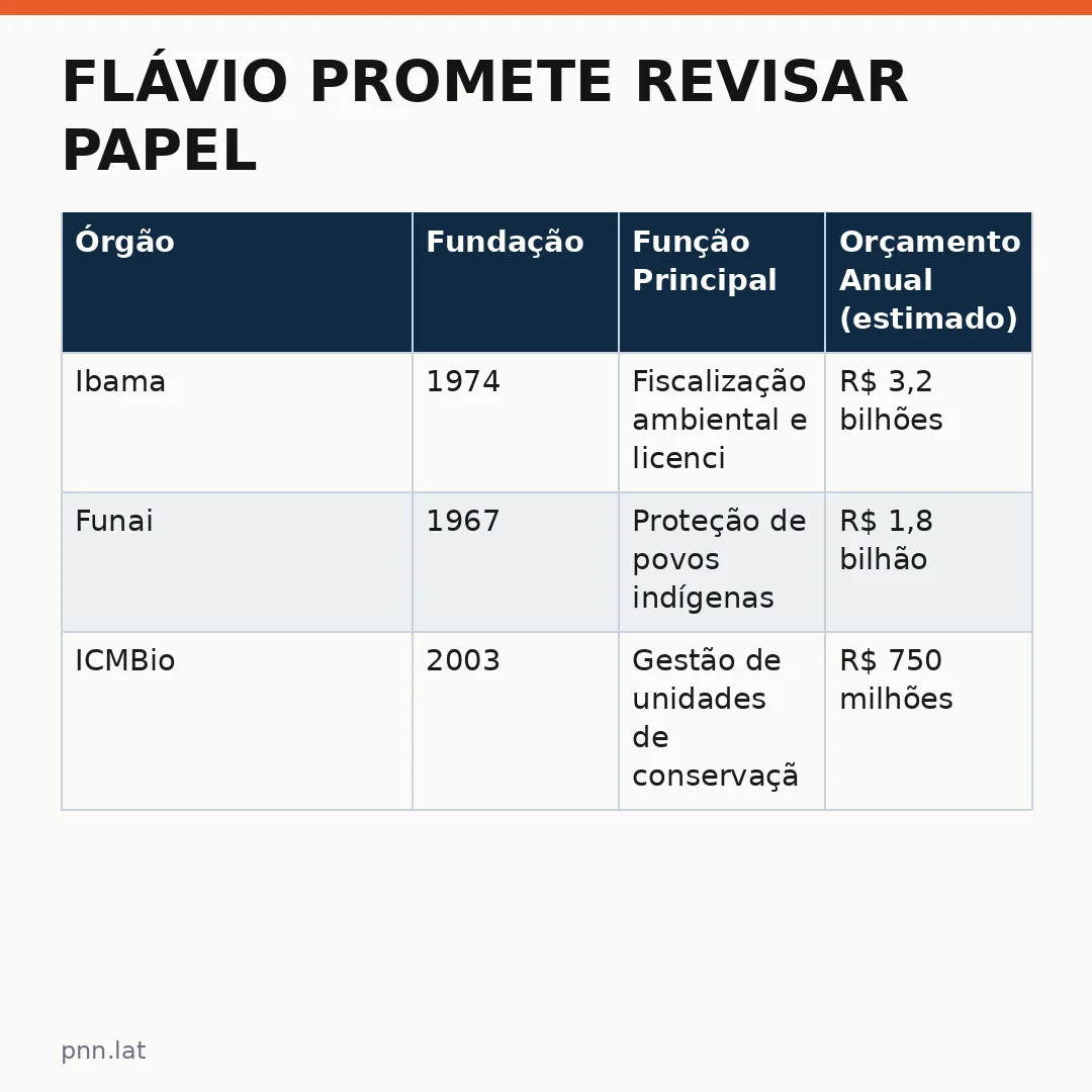 jotha-jotha-6005a046-infographic-pil-1 Flávio promete revisar papel: propostas ambientais de Minas geram debate no Congresso
