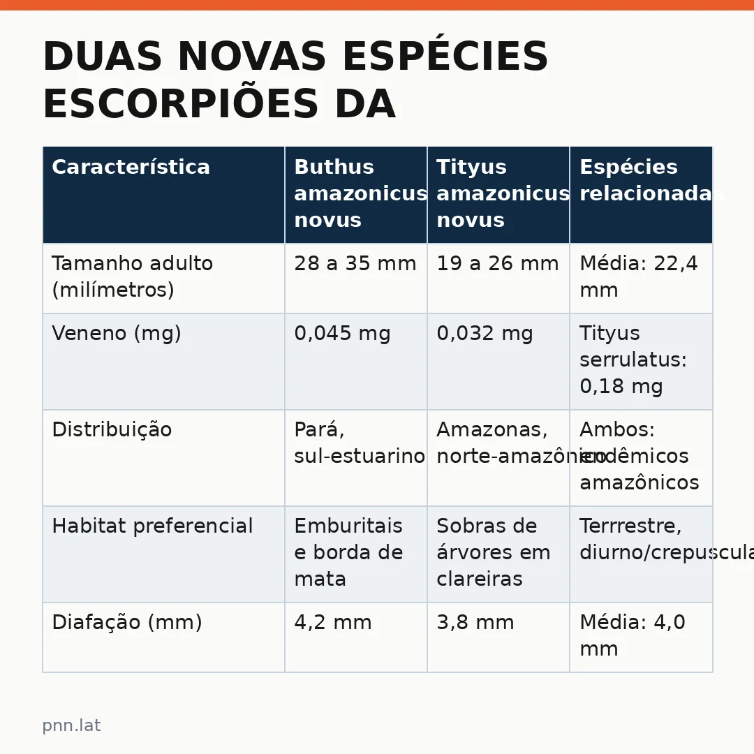 jotha-jotha-8c9e24db-infographic-pil-1 Duas novas espécies escorpiões da Amazônia reveladas por tecnologia inédita