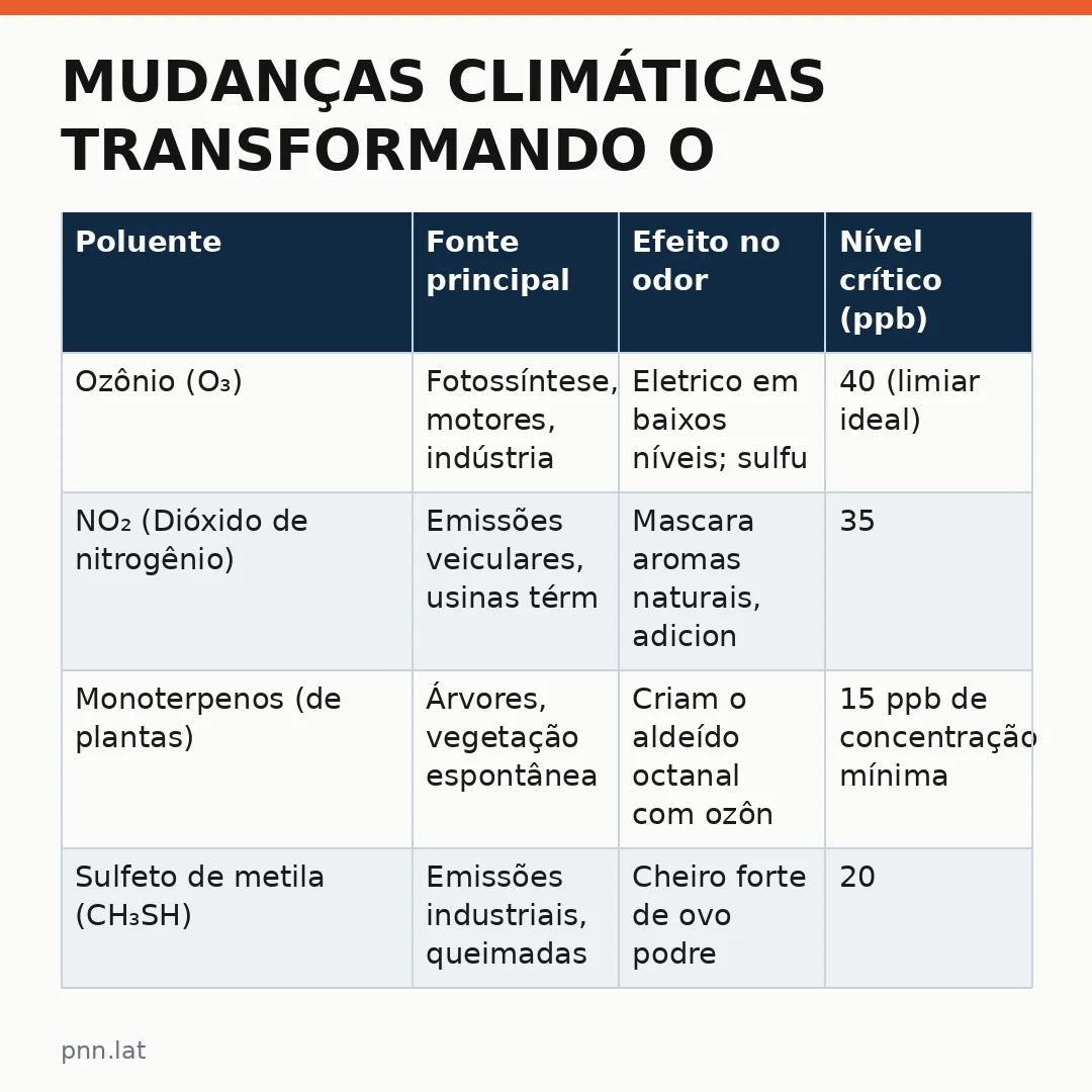 jotha-jotha-8eedb8b4-infographic-pil-1 Mudanças climáticas transformando o cheiro da chuva: por que a tempestade não mais cheira a ozônio