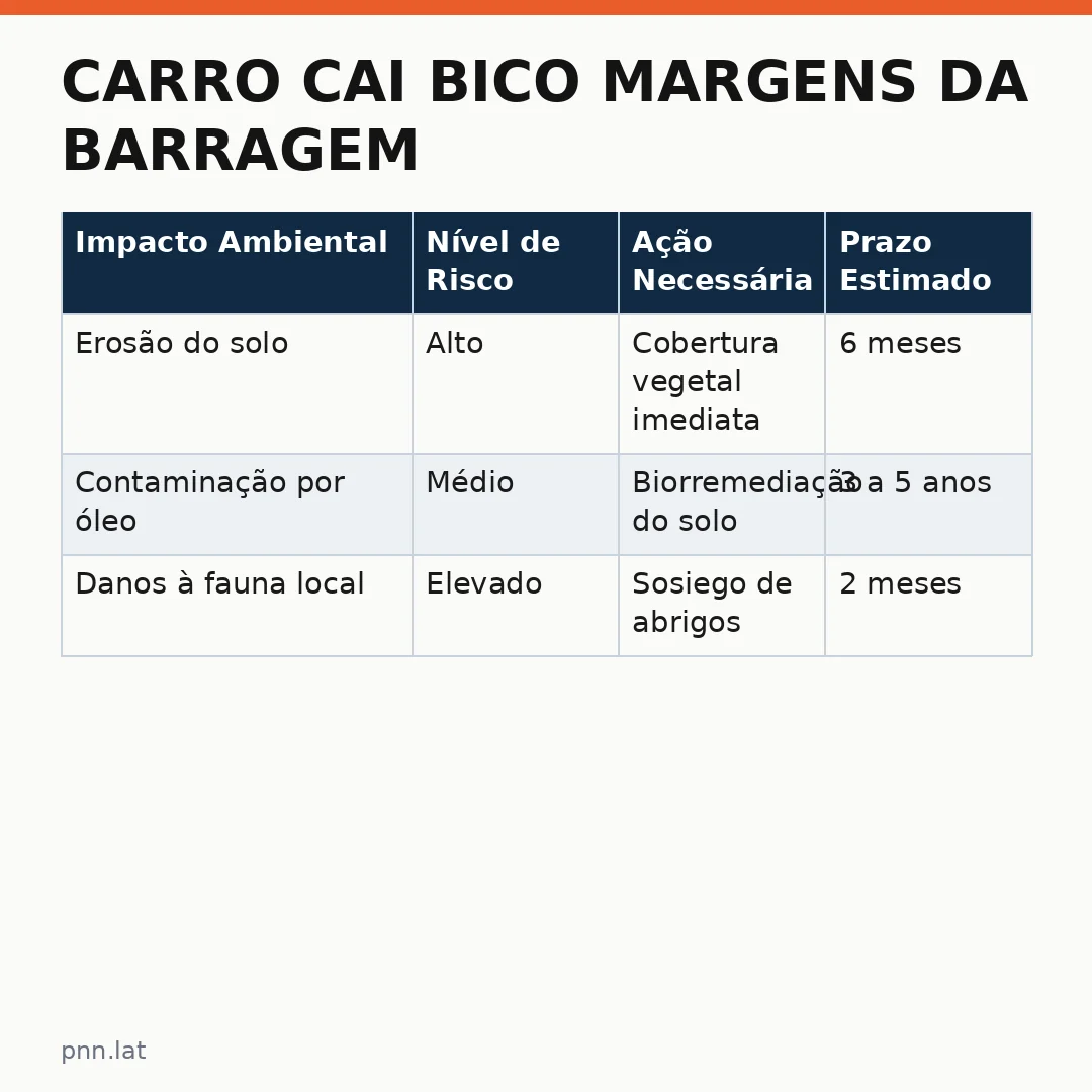 jotha-jotha-ae8ef8d0-infographic-pil-1 Carro cai bico margens da Barragem do Ceará: Análise dos Impactos Ambientais