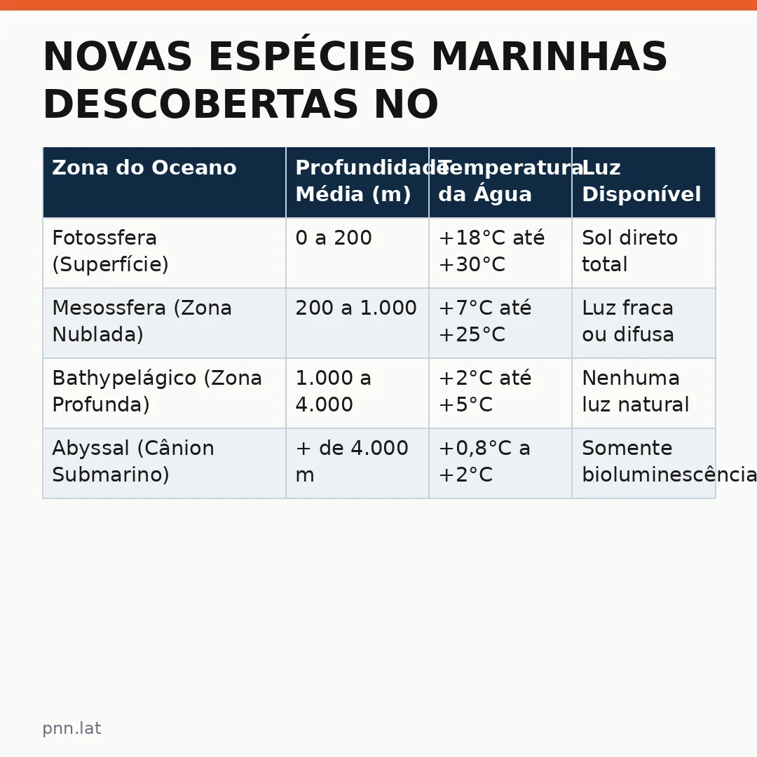 jotha-jotha-b8a2e4c9-infographic-pil-1 Novas Espécies Marinhas Descobertas no Cânion Submarino: O Futuro da Pesquisa na Argentina