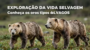 Explorao da vida selvagem conhea os oito tipos de ursos e as caractersticas dos